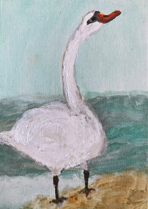 Serene Swan 5”x7”