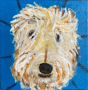 Wheaten Woes 4” x 4”