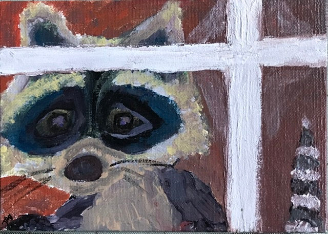 Peeking Raccoon  5”x7”