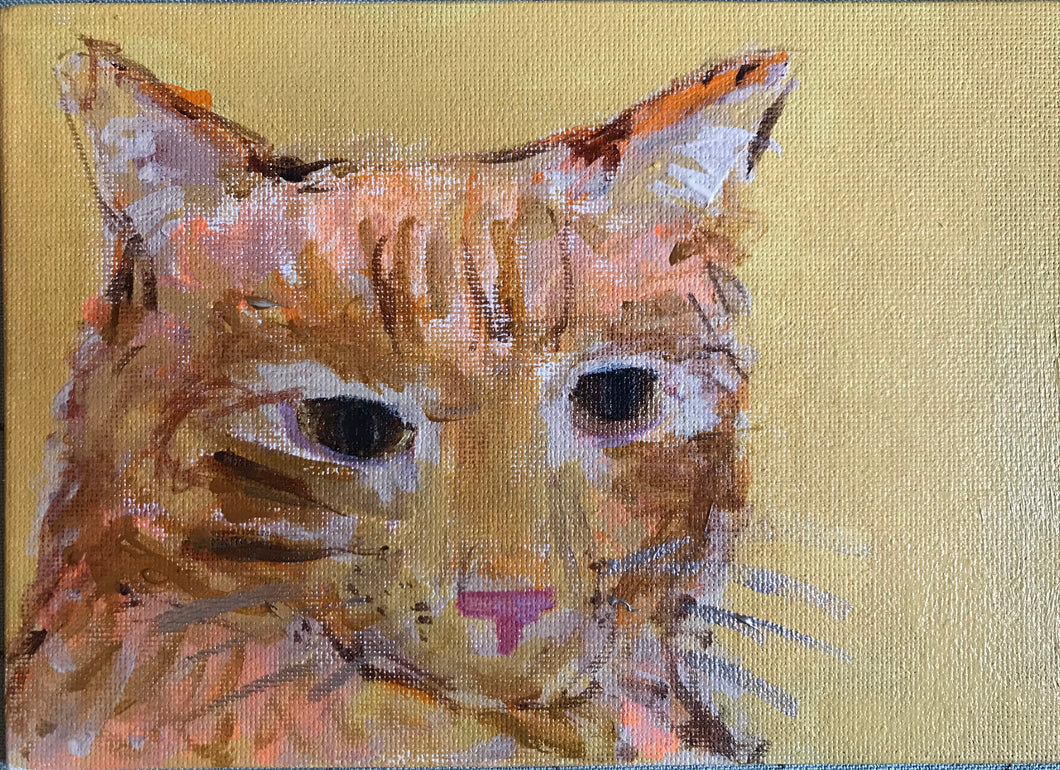 Harmony the Cat - 5”x7”