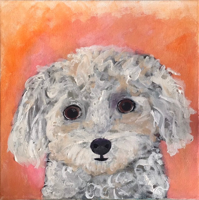 Poodley 14” x 14”