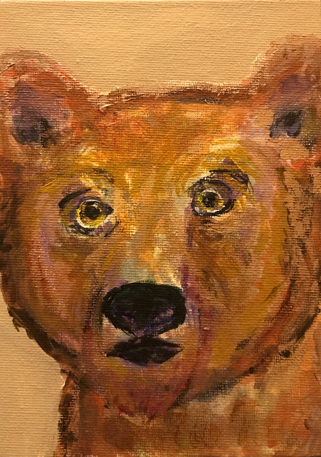 Brown Bear 5”x7”