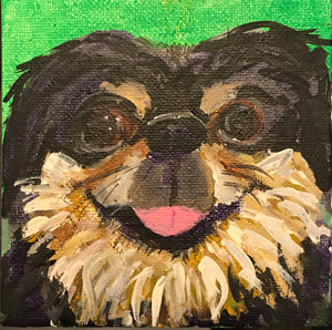 Pleased Pekingese 4” x 4”
