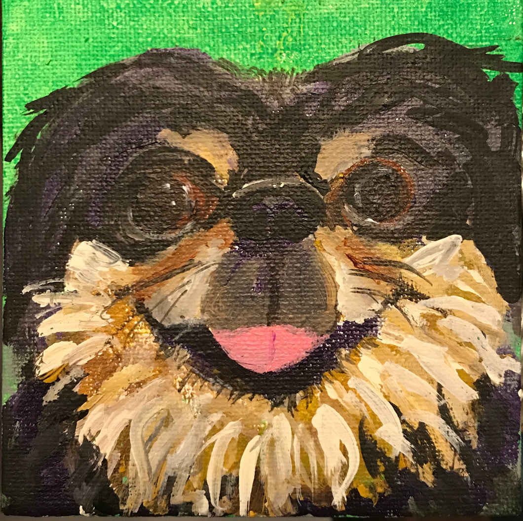 Pleased Pekingese 4” x 4”