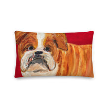 Load image into Gallery viewer, Winston Premium Pillow

